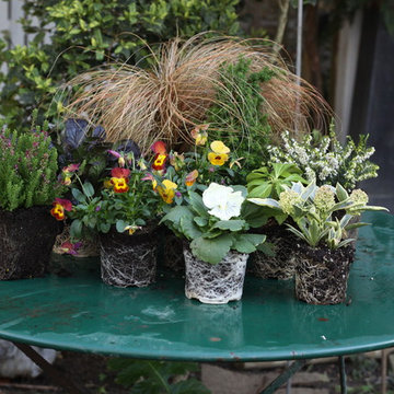 DIY : créer une jardinières fleuries pour tout l'hiver