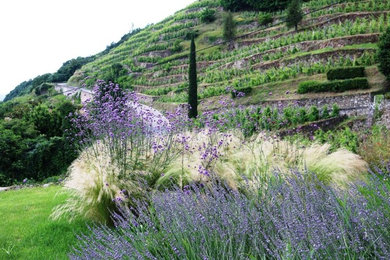Aménagement d'un très grand jardin campagne au printemps avec une exposition ensoleillée et une pente, une colline ou un talus.