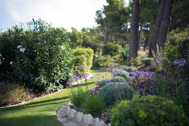 Cette photo montre un jardin méditerranéen.