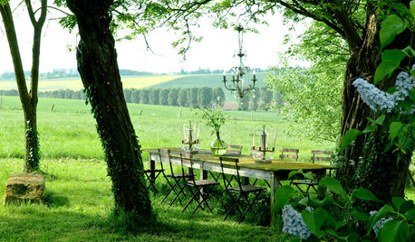 Завтрак на траве: Как организовать столовую посреди сада