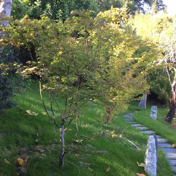 Fusaï - jardin japonais