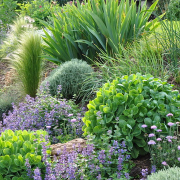 Jardin En Essonne