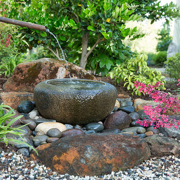 Jardin japonais - Japanese garden