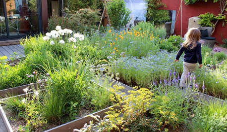 Prato Didattico: Un Angolo Verde Sicuro per Scoprire la Natura