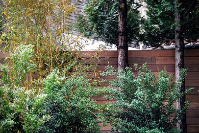 Réalisation d'un petit jardin arrière design avec une exposition ensoleillée et une terrasse en bois.