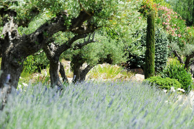 Idée de décoration pour un grand jardin à la française avant méditerranéen au printemps avec un chemin, une exposition ensoleillée et une clôture en pierre.