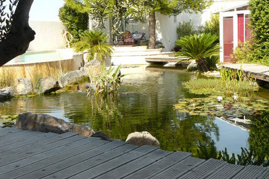 Réalisation d'un jardin méditerranéen.