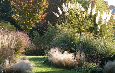 11 der schönsten winterharten Gräser für den Garten