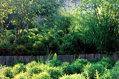Cette photo montre un jardin moderne de taille moyenne et au printemps avec une exposition partiellement ombragée.
