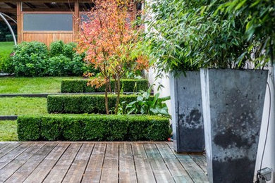 Cette photo montre un grand jardin arrière moderne avec une exposition ensoleillée.