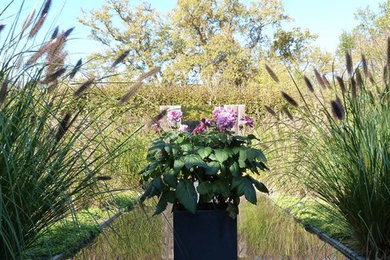 Réalisation d'un jardin design de taille moyenne et l'automne avec un massif de fleurs et une exposition ensoleillée.