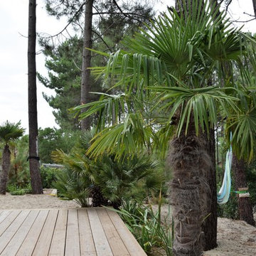 Les palmiers contribuent au décor de la piscine