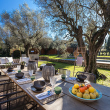 Suivez le Guide : Vivre dans une oliveraie en Provence