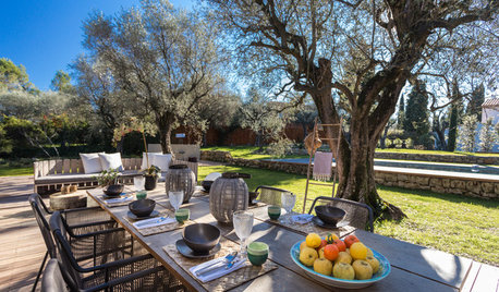 Suivez le Guide : Vivre dans une oliveraie en Provence
