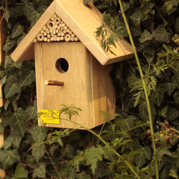 maison pour oiseau, birdhouse,