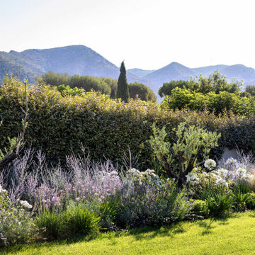 Modernité en Provence