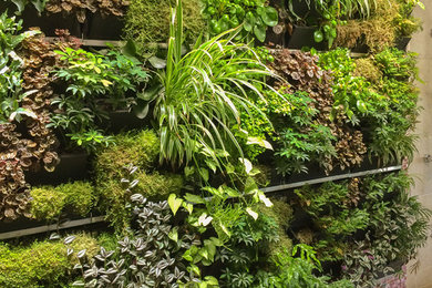 ストラスブールにあるトロピカルスタイルのおしゃれな庭の写真