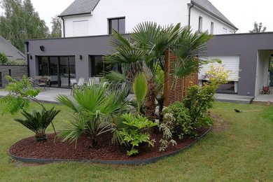 Cette photo montre un jardin sur cour tendance avec des solutions pour vis-à-vis, une exposition ensoleillée et une terrasse en bois.