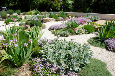 Exemple d'un grand jardin latéral méditerranéen au printemps avec une exposition ensoleillée et du gravier.