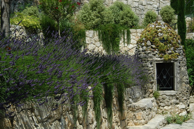 Mediterranean Garden by Atelier Nelumbo Garden Design