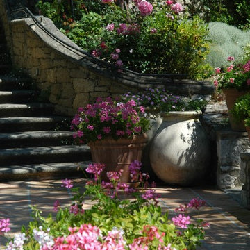 Provençal Garden