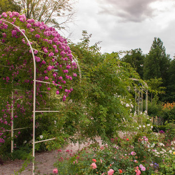 Roseraie romantique dans un parc