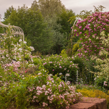 Roseraie romantique dans un parc