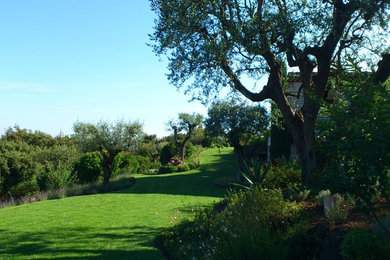 Idées déco pour un jardin méditerranéen.