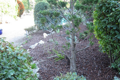 Immagine di un giardino xeriscape mediterraneo di medie dimensioni e nel cortile laterale