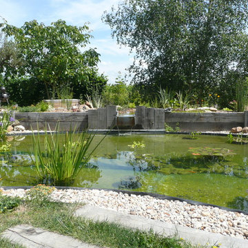 Un jardin d'eau