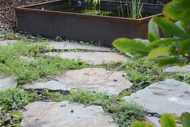 Cette photo montre un petit jardin tendance avec un bassin.