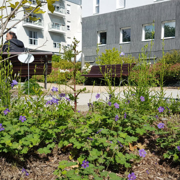 vue sur  les talus plantés de la zone d'aire de jeux et du potager