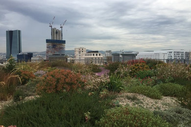 Cette photo montre un jardin méditerranéen.