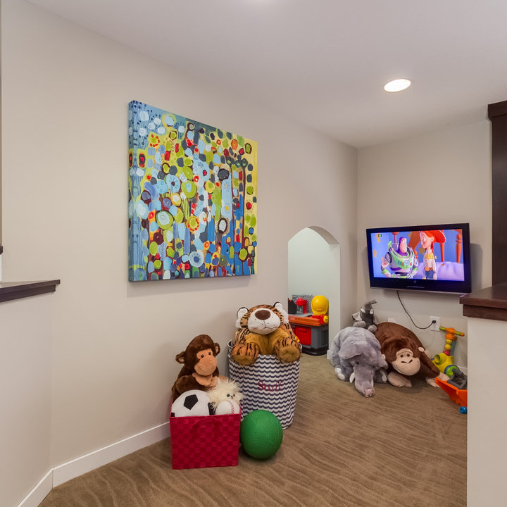 Kids Basement Play Area Photos & Ideas Houzz