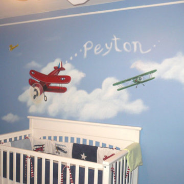 Biplane Nursery Mural Michigan ML Murals