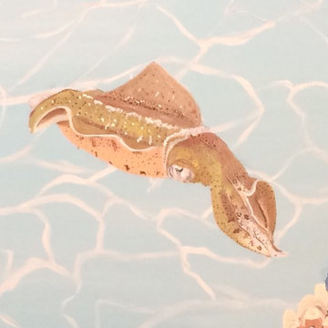 Closeup of squid in the Stingray Mural
