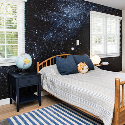 Kids' room - large transitional boy light wood floor kids' room idea in Los Angeles with multicolored walls