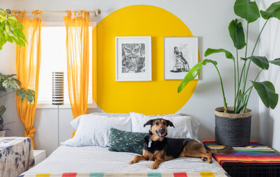 Barkitecture: The Rise of Pet-Centric Home Design