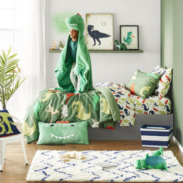 Dino Digs Kids' Bedroom Collection - Pillowfort™