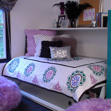 George to the Rescue featuring Murphy Desk Beds