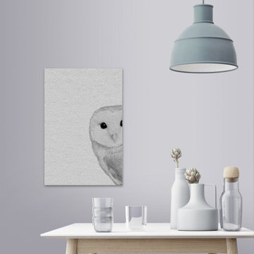 "Owly Surprise" Painting Print on Wrapped Canvas
