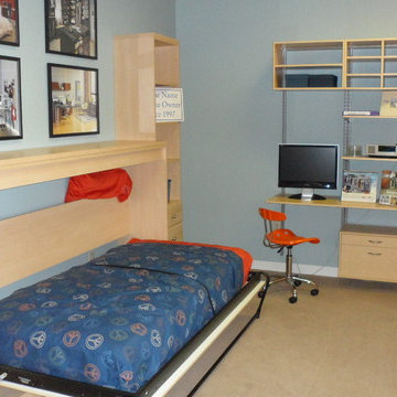 Teen Room with Murphy Bed