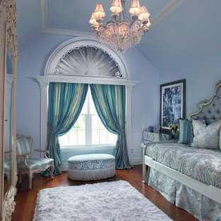 Teenage Princess Room Houzz