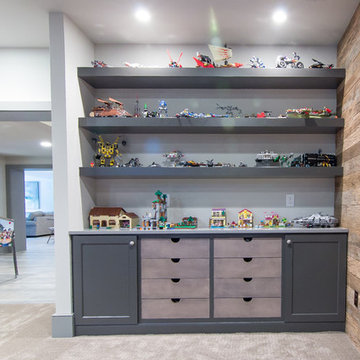 Toy Storage Niche in West Chester Basement