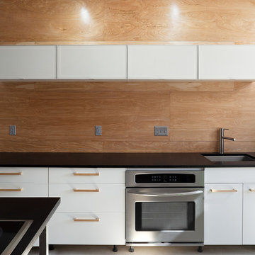 100K House Birch Plywood Kitchen