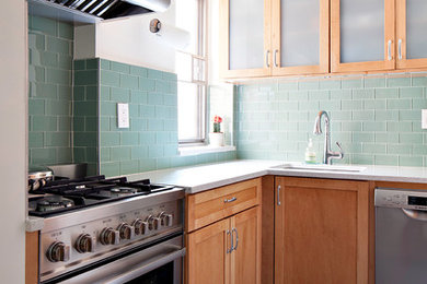 Kitchen - transitional kitchen idea in New York
