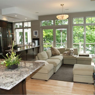 Contemporary kitchen appliance - Inspiration for a contemporary kitchen remodel in Milwaukee