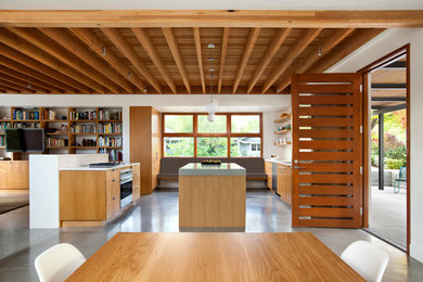 サンフランシスコにあるコンテンポラリースタイルのおしゃれなキッチン (アンダーカウンターシンク、フラットパネル扉のキャビネット、中間色木目調キャビネット、シルバーの調理設備、コンクリートの床) の写真