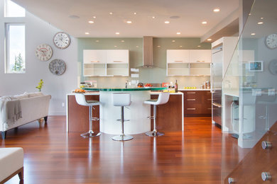 Inspiration for a mid-sized modern galley light wood floor eat-in kitchen remodel in Vancouver with flat-panel cabinets, white cabinets, green backsplash, stainless steel appliances, an island, an undermount sink and glass sheet backsplash