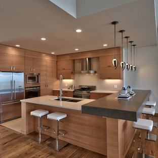 75 Beautiful Contemporary Kitchen Pictures Ideas Houzz